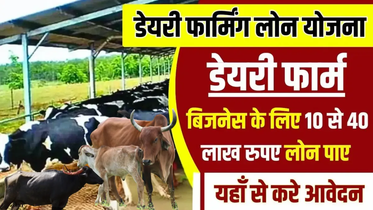 Dairy Farming 2025 Loan