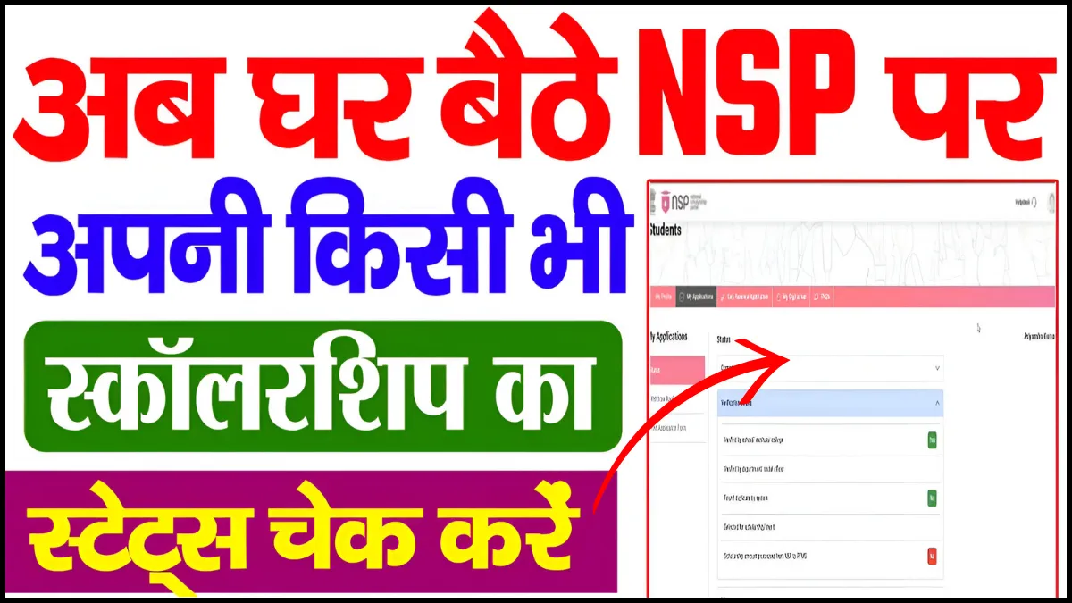 NSP Status Check Online